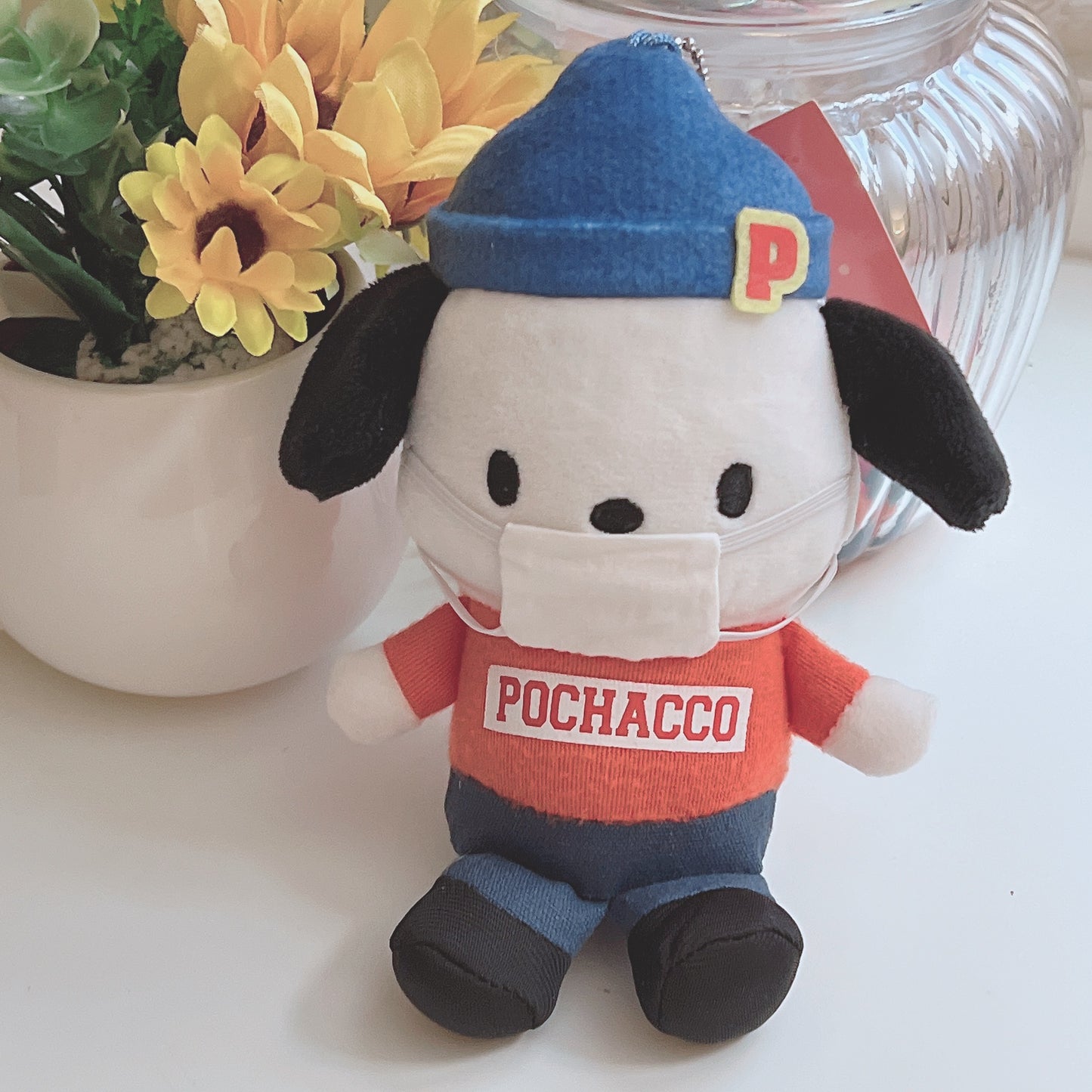 Pochacco Mask plush charm