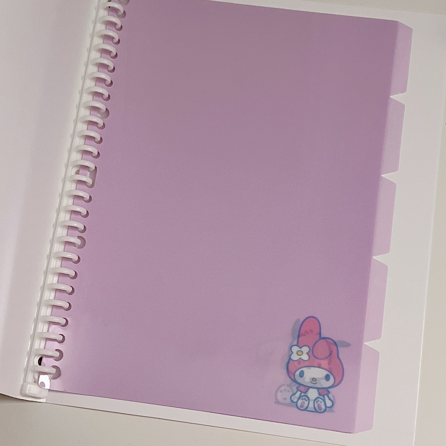 Sanrio Files Folder(Hangyodon,Cinnamoroll My Melody,Pompompurin)